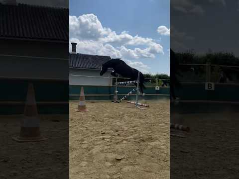 JUMPING WITHOUT A RIDER 😱 #shorts