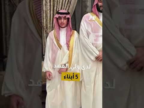 , title : 'في ظهور نادر.. نجل ولي العهد السعودي الأمير محمد بن سلمان يخطف الأضواء'