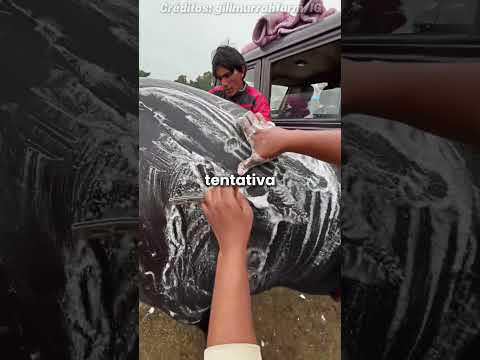 Agora a vaca está bem mais valiosa! 🤠 (@gillmurrahfarm via IG) #shorts