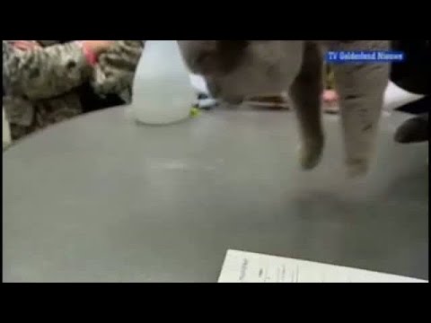 GLD Nieuws 24 maart 2008 - Nieuws