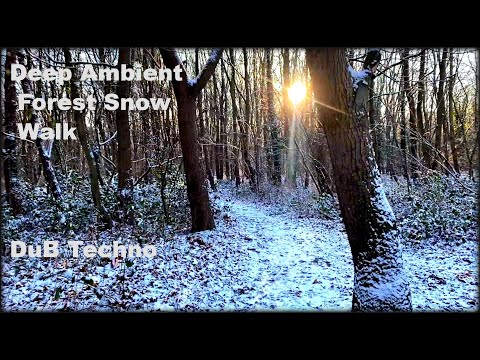 Deep Atmospheric Forest Snow walk - Liquid Fraction - Ambient Techno - Jan 2026.