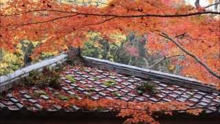 preview picture of video 'Fall Foliage of Zuihouji Park, Arima-Onsen, Hyogo'