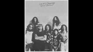 Lynyrd Skynyrd   I Know A Little