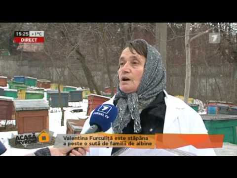 Reguli pentru o iernare bună a albinelor