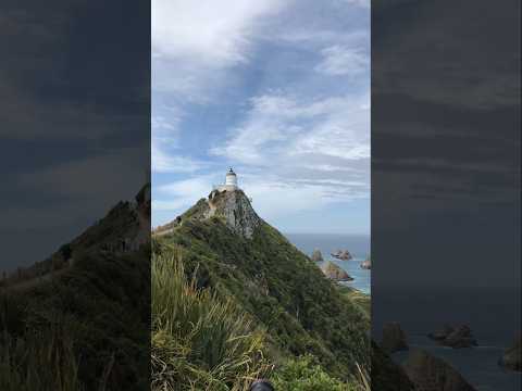 Spectacular View at Nugget Point Lighthouse | South Island, New Zealand | Touring NZ Ideas