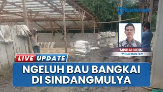 Serbuan Bau Busuk di Desa Sindangmulya Lebak, Warga Keluhkan Aroma Diduga dari Pengolahan Ayam