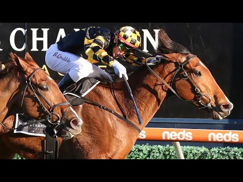 2021 MEMSIE STAKES (G1) | BEHEMOTH, MAKES IT BACK-TO-BACK WINS IN RACE |