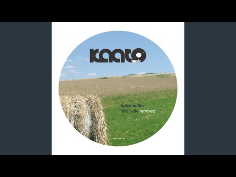 Fallstudie (Emerson Todd Remix)