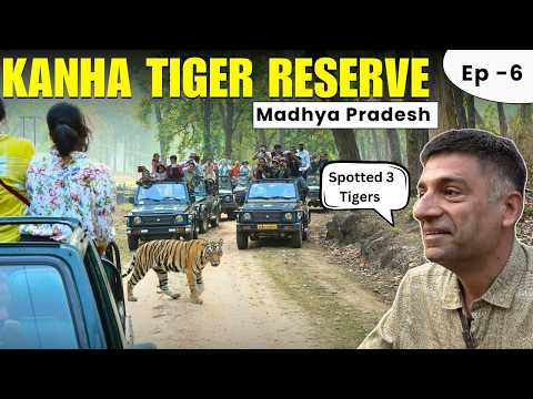 EP 6 Kanha National Park, Madhya Pradesh | Spotted 3 Tigers from close distance