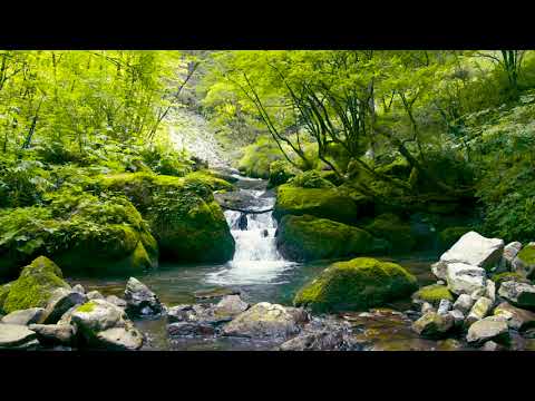 Calming Small Waterfall in Forest. Mountain Stream Nature Sounds. 10 Hours, White Noise for Sleeping