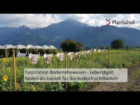 Faszination Bodenlebewesen - Lebendiger Boden als Garant für die Bodenfruchtbarkeit