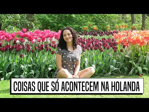 25 curiosidades sobre a Holanda por quem mora lá