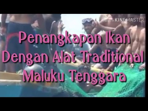 film-wer-warat-tarik-tali-tradisi-suku-kei