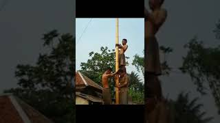 Download lagu Status Wa HUT Republik Indonesia mp3