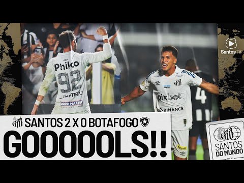 SANTOS 2 X 0 BOTAFOGO | GOLS | BRASILEIRÃO (20/07/22)