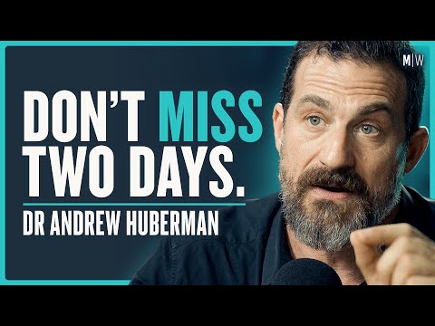 The Biology Of Focus, Success & Long-Term Energy - Dr Andrew Huberman (4K)