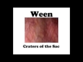 Ween - Craters of the Sac (1999) 
