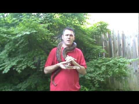 download lagu mp3 mp4 Exotic Animal Party Rental, download lagu Exotic Animal Party Rental gratis, unduh video klip Exotic Animal Party Rental