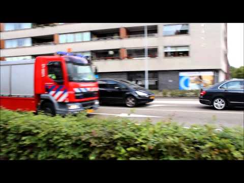 resultaat dag spotten den Bosch.