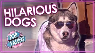 FUNNIEST DOG AUDITIONS & MOMENTS EVER on Britain's Got Talent | Top Talent