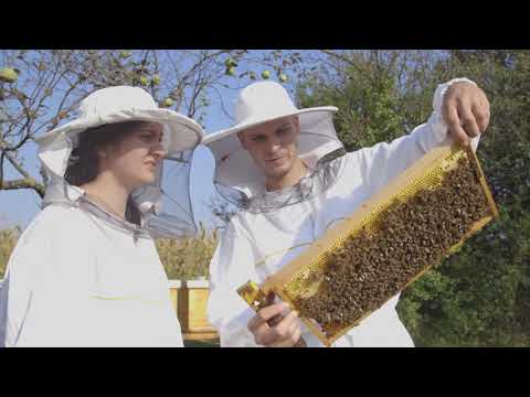 Domaćine kako radiš 10.01.2018. - Pčelarstvo - Kikinda i Drmno