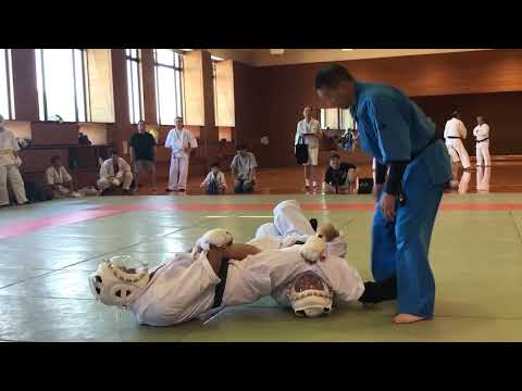 Kyokushin Black Belt is challenging Kudo. 【Senior fight】