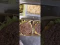 How To Make A McDonald S BigMac