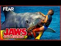Shark Attacks A Banana Boat | Jaws: The Revenge | Fear