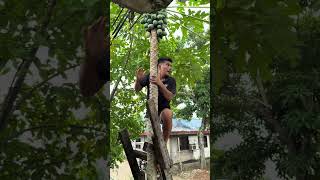 Download lagu Huli 😂😆 #funny #comedy #trending #shortvideo #viralvideo #shorts #viral #fyp #viralshorts #fun mp3 Download lagu Huli 😂😆 #funny #comedy #trending #shortvideo #viralvideo #shorts #viral #fyp #viralshorts #fun mp3
