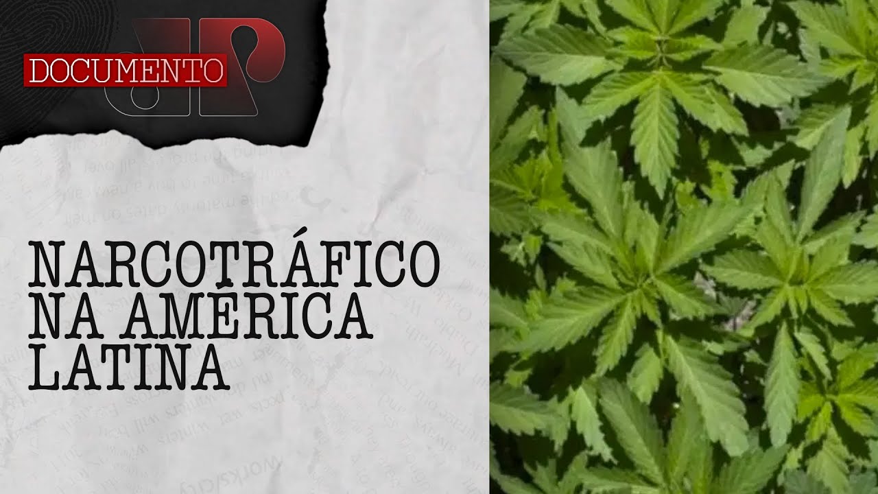 Conheça os maiores cartéis de drogas do mundo I DOCUMENTO JP