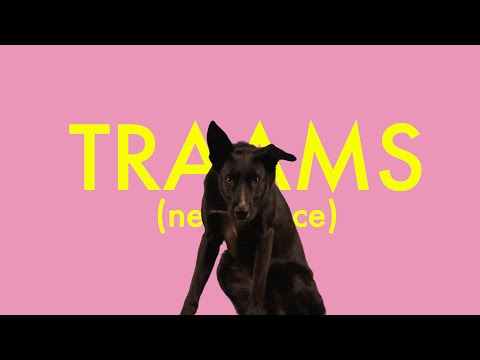 TRAAMS - Neckbrace