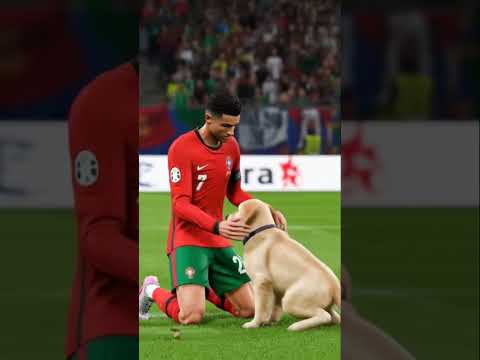 Thumbnail for #music #cat #lifeisbutadream #cruiseship #dreamscreenai #funny