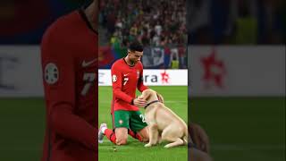 #music #cat #lifeisbutadream #cruiseship #dreamscreenai #funny