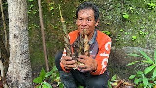 ป้าดๆ หน่อไม้ไร่ป่านี้ออกเร็วแฮง หน่อใหญ่อวบดีคัก