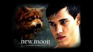 Taylor Lautner Apologize (Taylovers) Taylor Lautner Apologize (Taylovers)