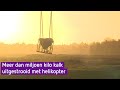 Meer dan een miljoen kilo kalk uitgestrooid boven natuurgebied