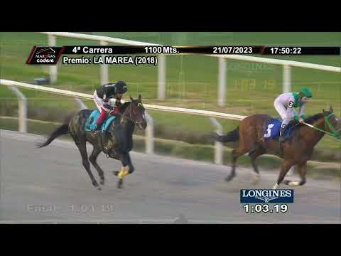 230721 c04 SALVADOR DALI (BRZ)