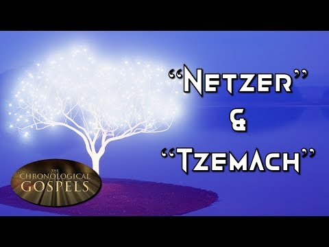 02 — The 5-Fold Ministry of the Messiah (The "Netzer" & "Tzemach") [The Chronological Gospels]