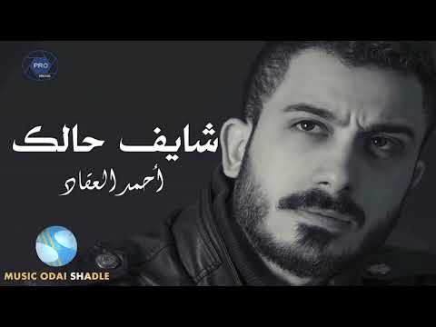 أحمد العقاد  شايف حالك 2017 Ahmad Akkad shaif halak   YouTube