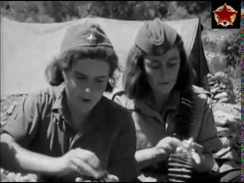 DALMATINSKI PARTIZANI / Gibonni - Projdi Vilo