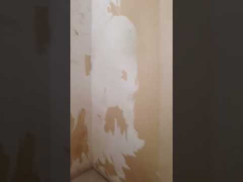Vidéo
