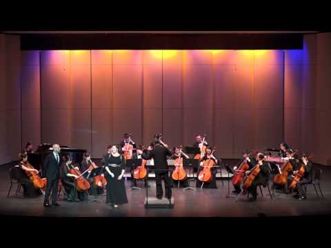 Zhenlun Cello Orchestra  厲振倫大提琴樂團  022517
