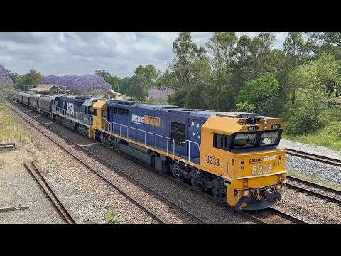 Pacific National’s 8233 & 8254 at East Maitland - 31/10/25