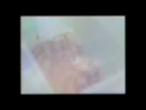 The Home In Which I Tried This