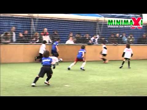 MINI MAXI KUP, Novi Sad 2014 beograd - vojvodina