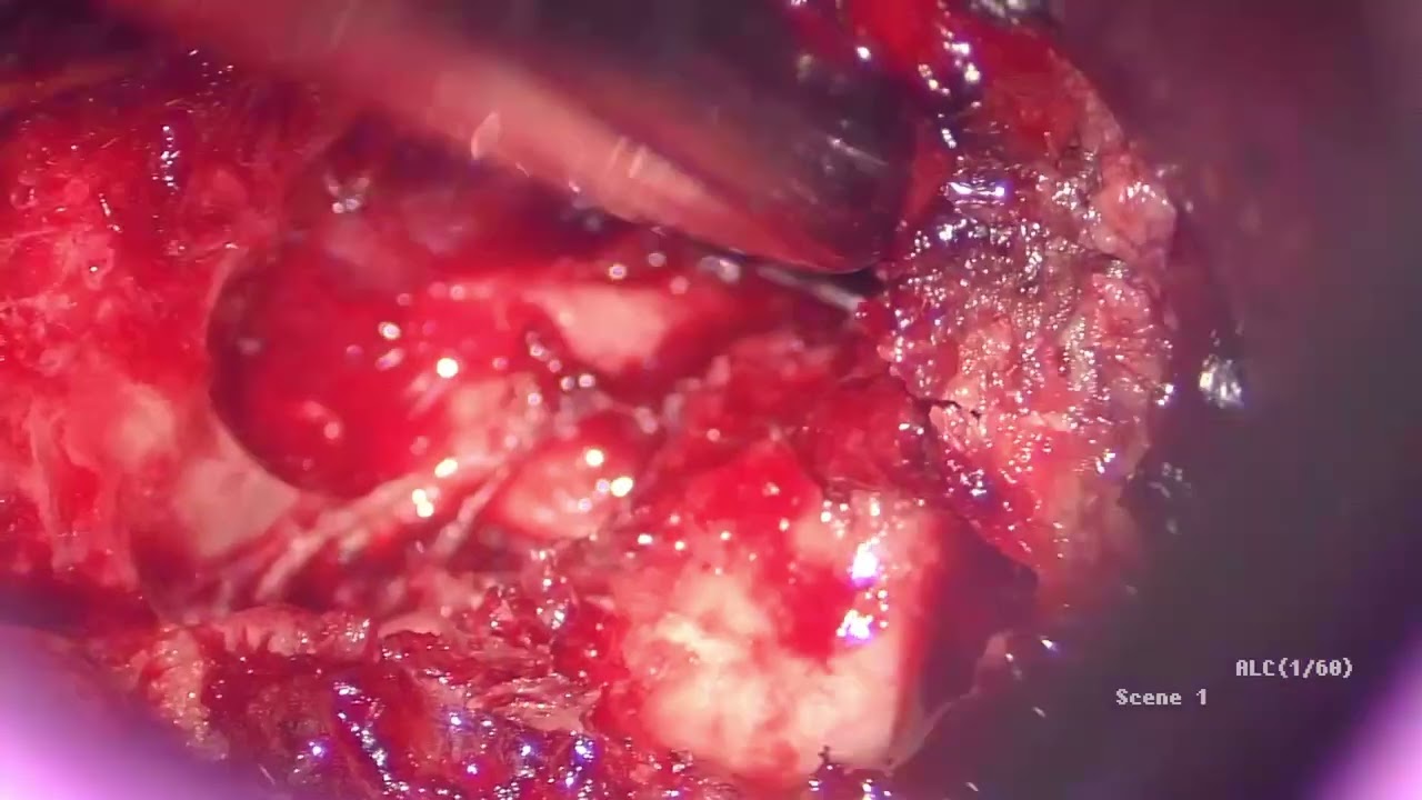 Gerardo Barajas Llanes-22