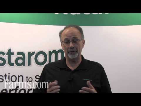 Powder Feed Enzyme for Pig gut health by DSM, Bag