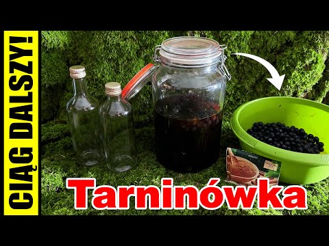 Tarninówka - Dzikość w słoiku. Jak zrobić nalewkę z tarniny?