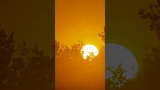 Download lagu Matahari terbit yang indah saat fajar menyingsing 😻✨😍 #celanapendek mp3