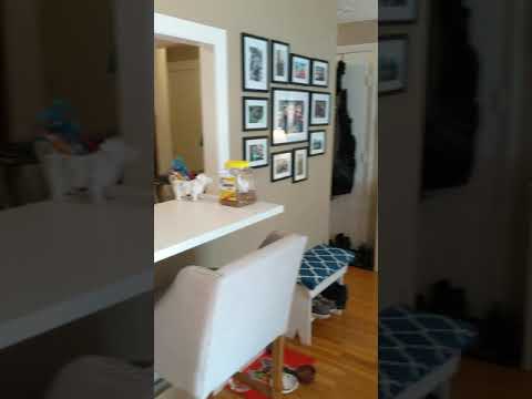 121 Tremont St Apt C3. Brighton MA